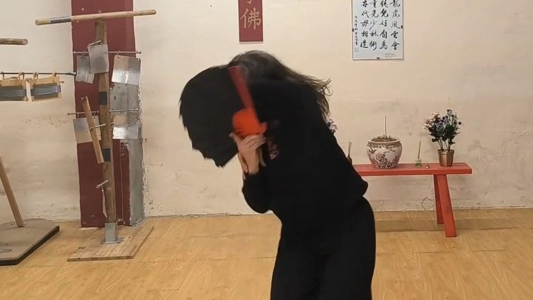 Abanico Kung Fu Logroño_0000_Capa 4