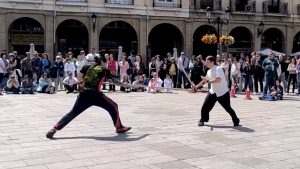 Dia internacional del tai chi Kung fu chi kung qigogn_0008_Capa 6