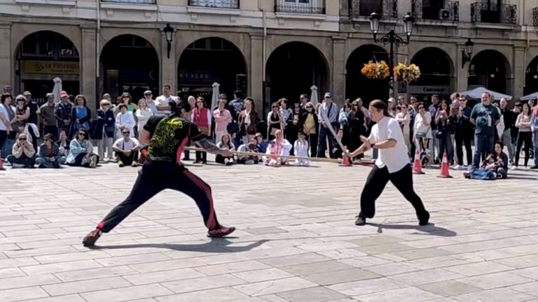 Dia internacional del tai chi Kung fu chi kung qigogn_0008_Capa 6