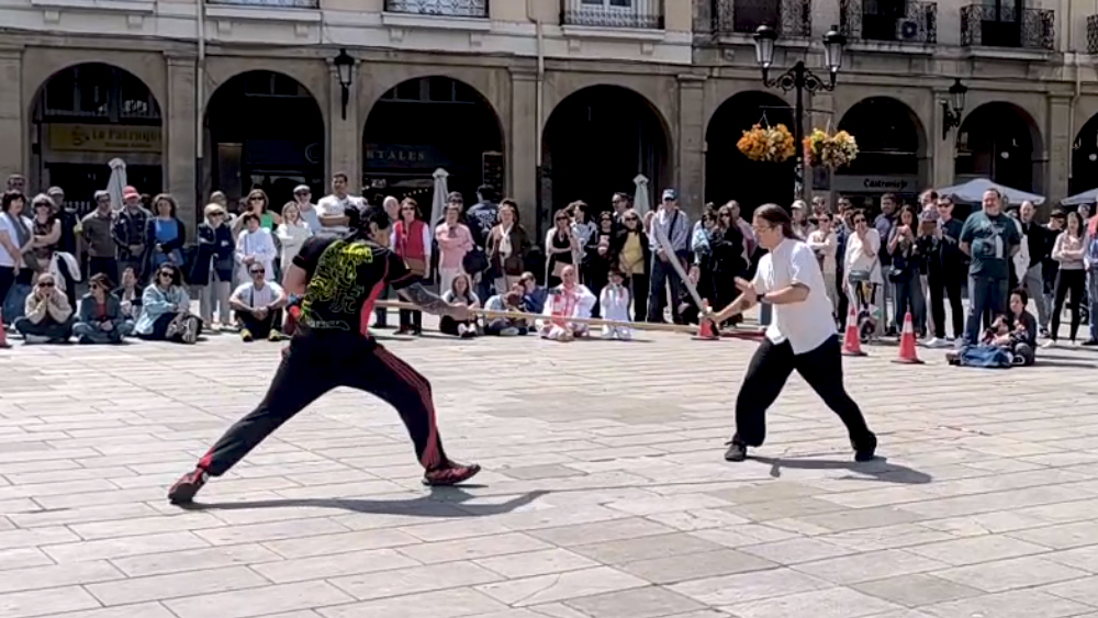 Dia internacional del tai chi Kung fu chi kung qigogn_0008_Capa 6